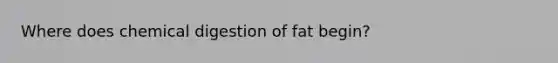 Where does chemical digestion of fat begin?