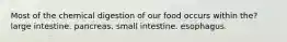 Most of the chemical digestion of our food occurs within the? large intestine. pancreas. small intestine. esophagus.