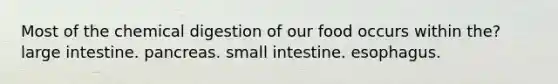 Most of the chemical digestion of our food occurs within the? large intestine. pancreas. small intestine. esophagus.