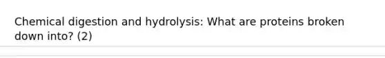 Chemical digestion and hydrolysis: What are proteins broken down into? (2)