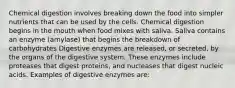 Chemical digestion involves breaking down the food into simpler nutrients that can be used by the cells. Chemical digestion begins in the mouth when food mixes with saliva. Saliva contains an enzyme (amylase) that begins the breakdown of carbohydrates Digestive enzymes are released, or secreted, by the organs of the digestive system. These enzymes include proteases that digest proteins, and nucleases that digest nucleic acids. Examples of digestive enzymes are: