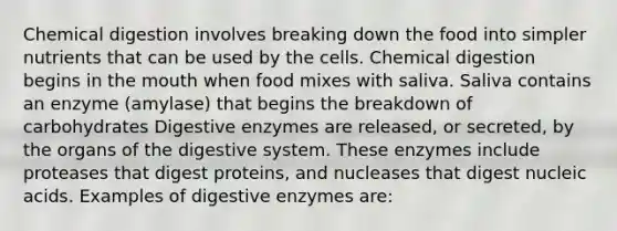 Chemical digestion involves breaking down the food into simpler nutrients that can be used by the cells. Chemical digestion begins in the mouth when food mixes with saliva. Saliva contains an enzyme (amylase) that begins the breakdown of carbohydrates Digestive enzymes are released, or secreted, by the organs of the digestive system. These enzymes include proteases that digest proteins, and nucleases that digest nucleic acids. Examples of digestive enzymes are: