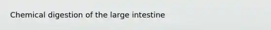 Chemical digestion of the <a href='https://www.questionai.com/knowledge/kGQjby07OK-large-intestine' class='anchor-knowledge'>large intestine</a>