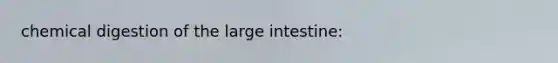 chemical digestion of the large intestine: