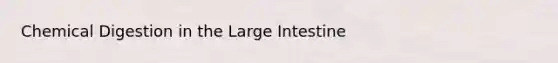 Chemical Digestion in the <a href='https://www.questionai.com/knowledge/kGQjby07OK-large-intestine' class='anchor-knowledge'>large intestine</a>