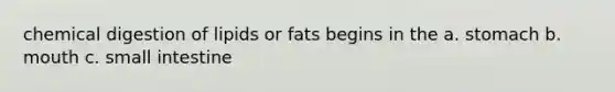 chemical digestion of lipids or fats begins in the a. stomach b. mouth c. small intestine