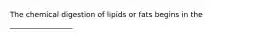 The chemical digestion of lipids or fats begins in the _________________