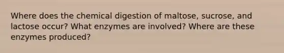 Where does the chemical digestion of maltose, sucrose, and lactose occur? What enzymes are involved? Where are these enzymes produced?