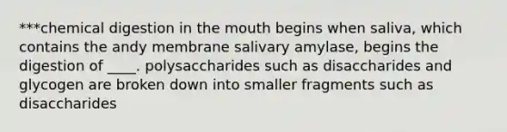 ***chemical digestion in the mouth begins when saliva, which contains the andy membrane salivary amylase, begins the digestion of ____. polysaccharides such as disaccharides and glycogen are broken down into smaller fragments such as disaccharides