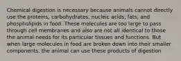 Chemical digestion is necessary because animals cannot directly use the proteins, carbohydrates, nucleic acids, fats, and phospholipids in food. These molecules are too large to pass through cell membranes and also are not all identical to those the animal needs for its particular tissues and functions. But when large molecules in food are broken down into their smaller components, the animal can use these products of digestion