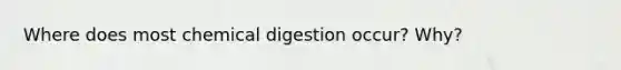 Where does most chemical digestion occur? Why?