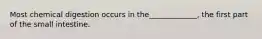 Most chemical digestion occurs in the_____________, the first part of the small intestine.
