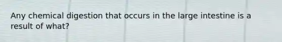 Any chemical digestion that occurs in the large intestine is a result of what?