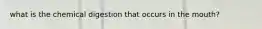 what is the chemical digestion that occurs in the mouth?