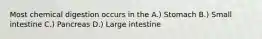 Most chemical digestion occurs in the A.) Stomach B.) Small intestine C.) Pancreas D.) Large intestine
