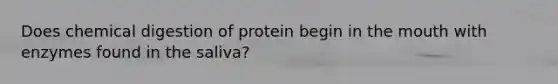 Does chemical digestion of protein begin in the mouth with enzymes found in the saliva?