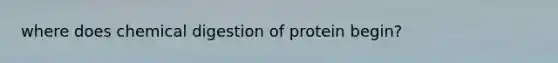 where does chemical digestion of protein begin?