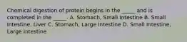 Chemical digestion of protein begins in the _____ and is completed in the _____. A. Stomach, Small Intestine B. Small Intestine, Liver C. Stomach, Large Intestine D. Small Intestine, Large Intestine