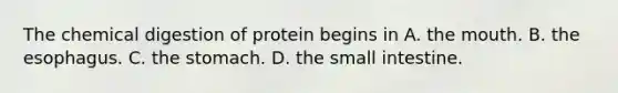 The chemical digestion of protein begins in A. the mouth. B. the esophagus. C. the stomach. D. the small intestine.