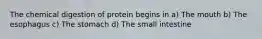 The chemical digestion of protein begins in a) The mouth b) The esophagus c) The stomach d) The small intestine