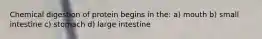 Chemical digestion of protein begins in the: a) mouth b) small intestine c) stomach d) large intestine