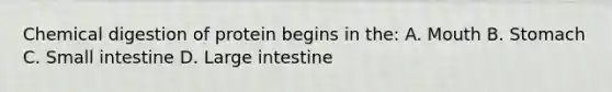 Chemical digestion of protein begins in the: A. Mouth B. Stomach C. Small intestine D. Large intestine