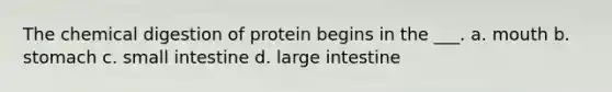 The chemical digestion of protein begins in the ___. a. mouth b. stomach c. small intestine d. large intestine