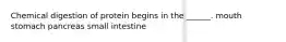 Chemical digestion of protein begins in the ______. mouth stomach pancreas small intestine