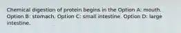 Chemical digestion of protein begins in the Option A: mouth. Option B: stomach. Option C: small intestine. Option D: large intestine.