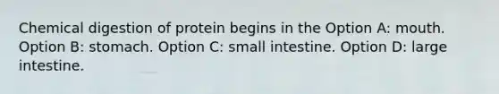 Chemical digestion of protein begins in the Option A: mouth. Option B: stomach. Option C: small intestine. Option D: large intestine.