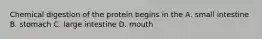 Chemical digestion of the protein begins in the A. small intestine B. stomach C. large intestine D. mouth