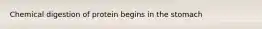 Chemical digestion of protein begins in the stomach