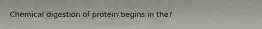 Chemical digestion of protein begins in the?
