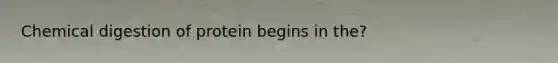 Chemical digestion of protein begins in the?