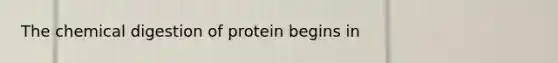 The chemical digestion of protein begins in