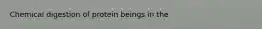 Chemical digestion of protein beings in the