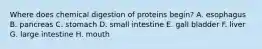 Where does chemical digestion of proteins begin? A. esophagus B. pancreas C. stomach D. small intestine E. gall bladder F. liver G. large intestine H. mouth