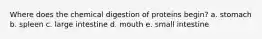 Where does the chemical digestion of proteins begin? a. stomach b. spleen c. large intestine d. mouth e. small intestine