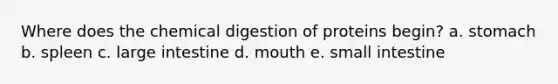 Where does the chemical digestion of proteins begin? a. stomach b. spleen c. large intestine d. mouth e. small intestine