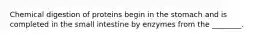 Chemical digestion of proteins begin in the stomach and is completed in the small intestine by enzymes from the ________.