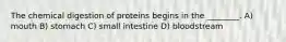 The chemical digestion of proteins begins in the ________. A) mouth B) stomach C) small intestine D) bloodstream