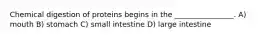 Chemical digestion of proteins begins in the ________________. A) mouth B) stomach C) small intestine D) large intestine