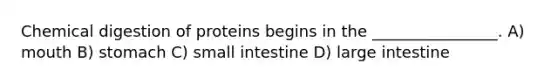 Chemical digestion of proteins begins in the ________________. A) mouth B) stomach C) small intestine D) large intestine