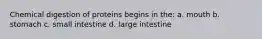 Chemical digestion of proteins begins in the: a. mouth b. stomach c. small intestine d. large intestine