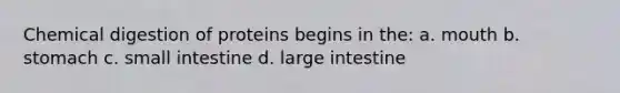 Chemical digestion of proteins begins in the: a. mouth b. stomach c. small intestine d. large intestine