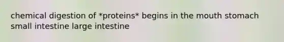 chemical digestion of *proteins* begins in the mouth stomach small intestine large intestine