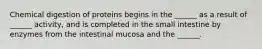 Chemical digestion of proteins begins in the ______ as a result of ______ activity, and is completed in the small intestine by enzymes from the intestinal mucosa and the ______.