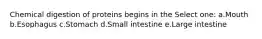 Chemical digestion of proteins begins in the Select one: a.Mouth b.Esophagus c.Stomach d.Small intestine e.Large intestine