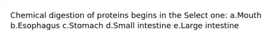 Chemical digestion of proteins begins in the Select one: a.Mouth b.Esophagus c.Stomach d.Small intestine e.Large intestine