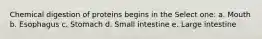 Chemical digestion of proteins begins in the Select one: a. Mouth b. Esophagus c. Stomach d. Small intestine e. Large intestine
